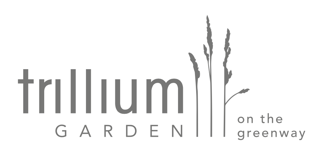 The Trillium Garden on the Greenway Opens Today!