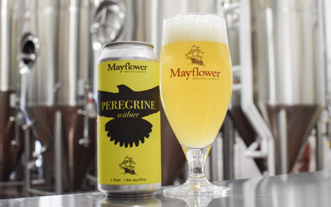 Mayflower Brewing Co. Releases Peregrine, A Witbier at 5% ABV